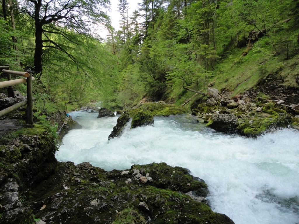 Spitzspaziergang Gleinkersee4